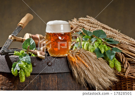 still life with hop cones 17828501
