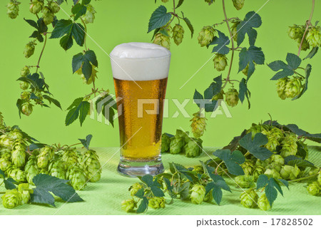 beer glass with hops 17828502