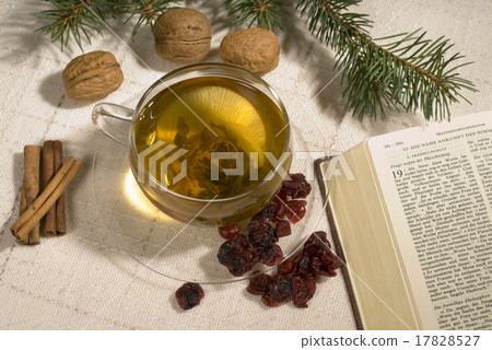 holy bible holy bible 17828527