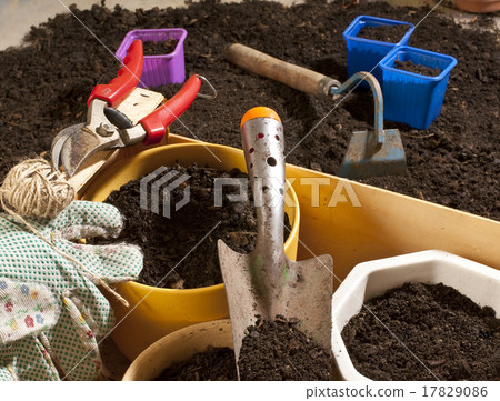 tools in the garden tools in the garden 17829086