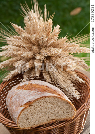 bread 17829251