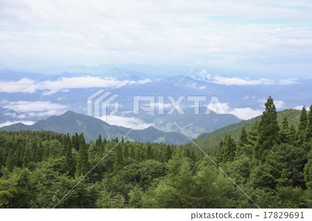 從四季查看 17829691