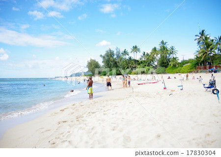 夏威夷歐胡島北岸海灘 17830304