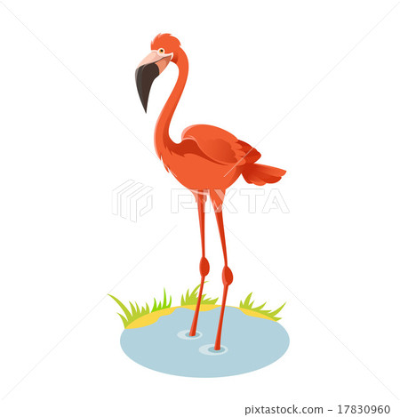 Flamingo 17830960
