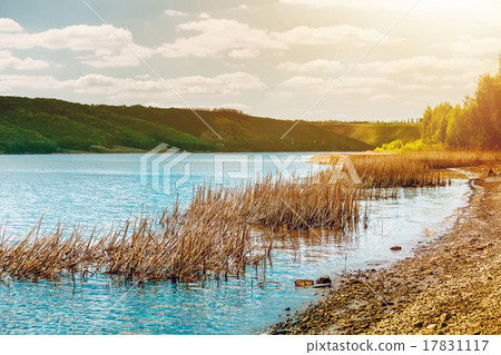 圖庫照片: river banks with trees and bushes