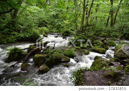 Asurase的Asura流程 17832853