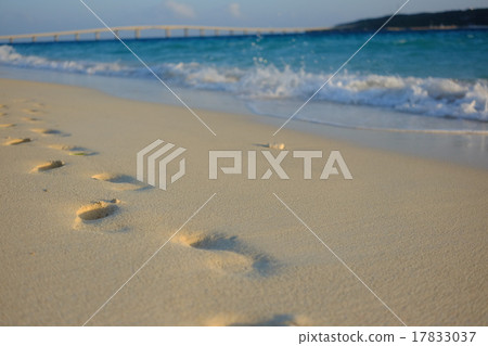 Feet at the sandy beach 17833037