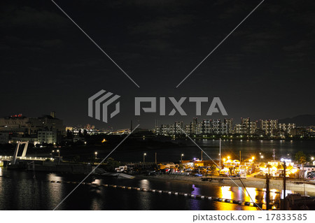 兵庫縣西宮小遊艇船塢和神戶方向的夜景 17833585