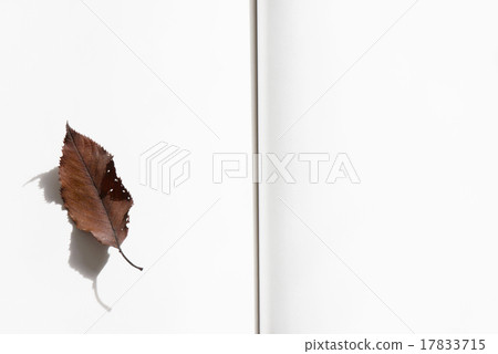 枯葉和筆記 17833715