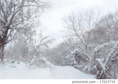 Snow road Snow road 17833719