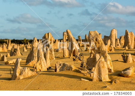 pinnacles park in west australia 17834003