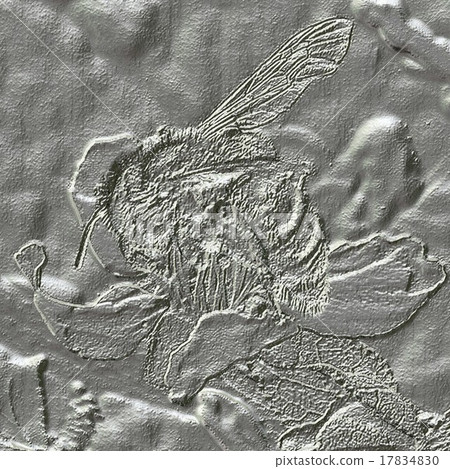 Bee on bloom metal relief generated texture Bee on bloom metal relief generated texture 17834830