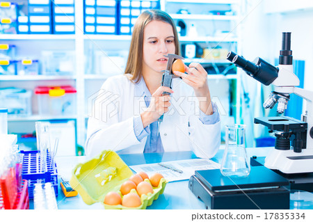 Quality control expert inspecting  17835334