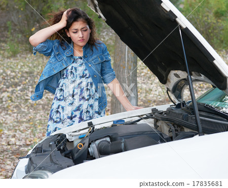 Woman with broken car inspecting engine 17835681