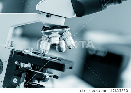 Lab 17835880