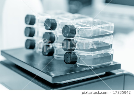workbench in microbiological laboratory workbench in microbiological laboratory 17835942
