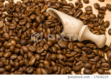 coffee seeds with wooden shovel on wood background coffee seeds with wooden shovel on wood background 17836229