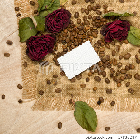 blank sheet and dry red roses on coffee seeds blank sheet and dry red roses on coffee seeds 17836287