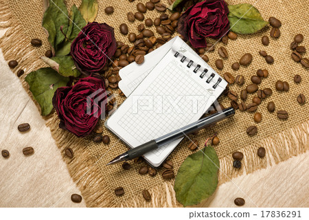 blank sheet and dry red roses on coffee seeds blank sheet and dry red roses on coffee seeds 17836291