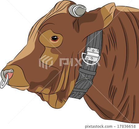 vector head of a bull 17836658