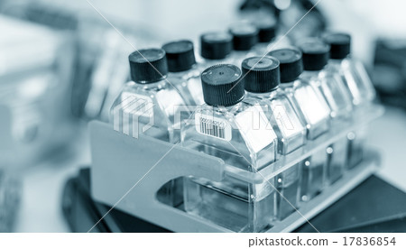 workbench in microbiological laboratory 17836854