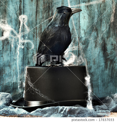 crow on a top hat in a dismal scene 17837033