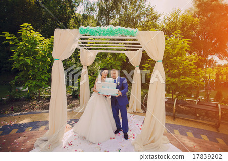 Wedding couple  17839202