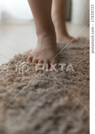 Rug mat Rug mat 17839725