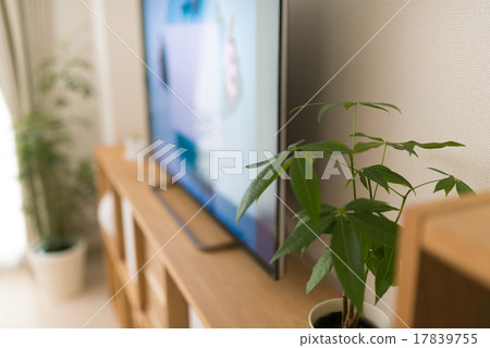 房間有電視 17839755