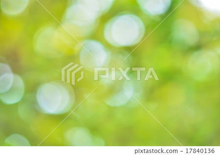 Natural green blurred background Natural green blurred background 17840136