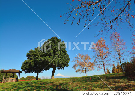 Park where Fuji can be seen Autumn-Winter 17840774