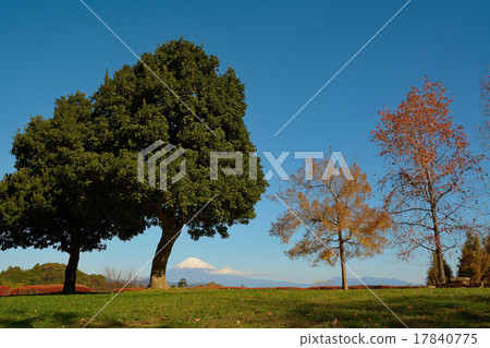 Park where Fuji can be seen Autumn-Winter Park where Fuji can be seen Autumn-Winter 17840775