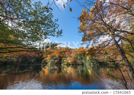 Fall of the twelve lakes of Aomori Prefecture Fall of the twelve lakes of Aomori Prefecture 17841065
