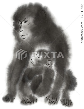 猴子水墨畫父母和孩子 猴子水墨畫父母和孩子 17841483