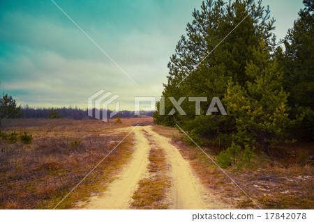 Rural autumn landscape, dirt road 17842078