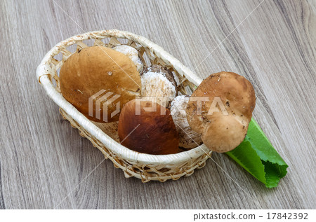 Wild Mushrooms 17842392