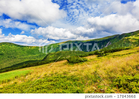 summer landscape summer landscape 17843668