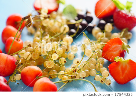 fresh fruits fresh fruits 17844325