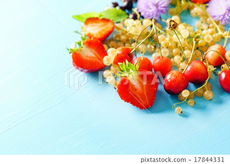 fresh fruits fresh fruits 17844331