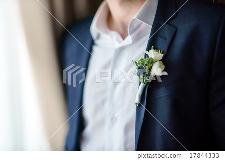 elegant groom elegant groom 17844333
