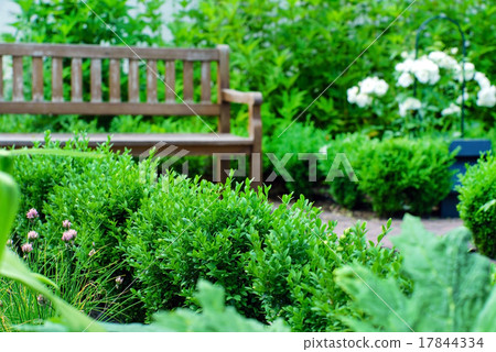 summer garden 17844334