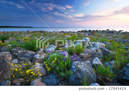 Rocky shores at the sea 17845429