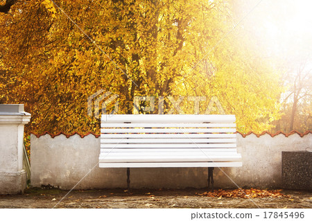 Bench in autumn with lots of sunshine 17845496