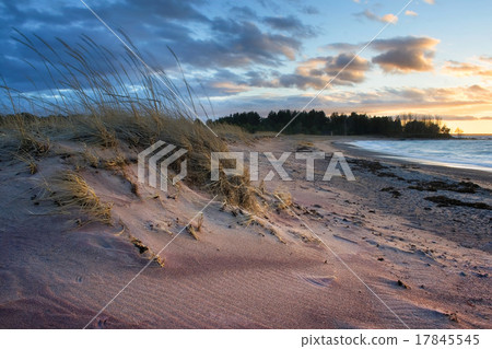 Cold windy evening at a seacoast Cold windy evening at a seacoast 17845545