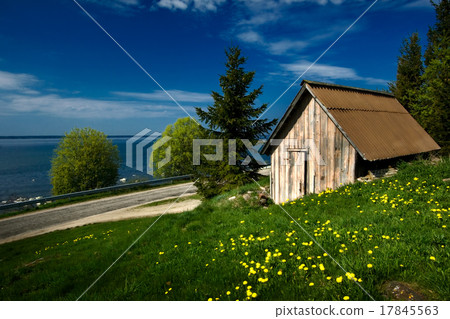 Blue landscape with dandelions 17845563
