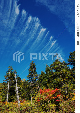 Oba valley mooring autumn leaves and cirrus clouds Oba valley mooring autumn leaves and cirrus clouds 17845730