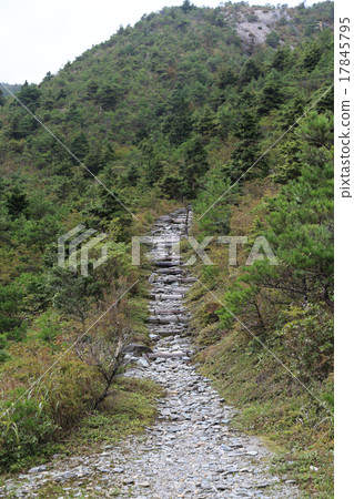 "Beef trail" heading from Benjin pit of Besshi Copper Mine to Copper Mountain Yue made in Meiji 13 17845795