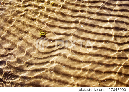 Sea bottom texture 17847000