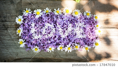 love letters made of lilac flowers 17847010