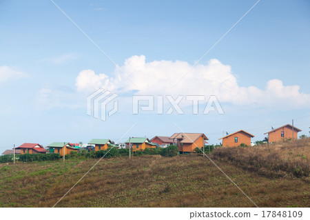 Homes built on a mountain resort. 17848109